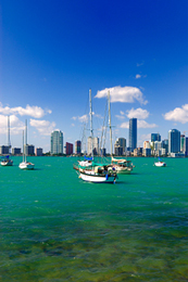 Miami harbour